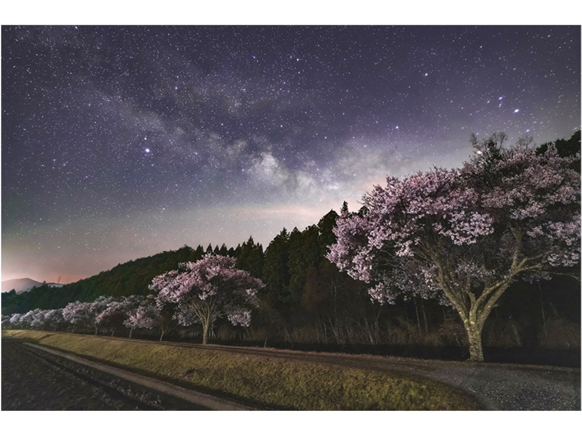 穂っとネット東三河フォトコンテスト