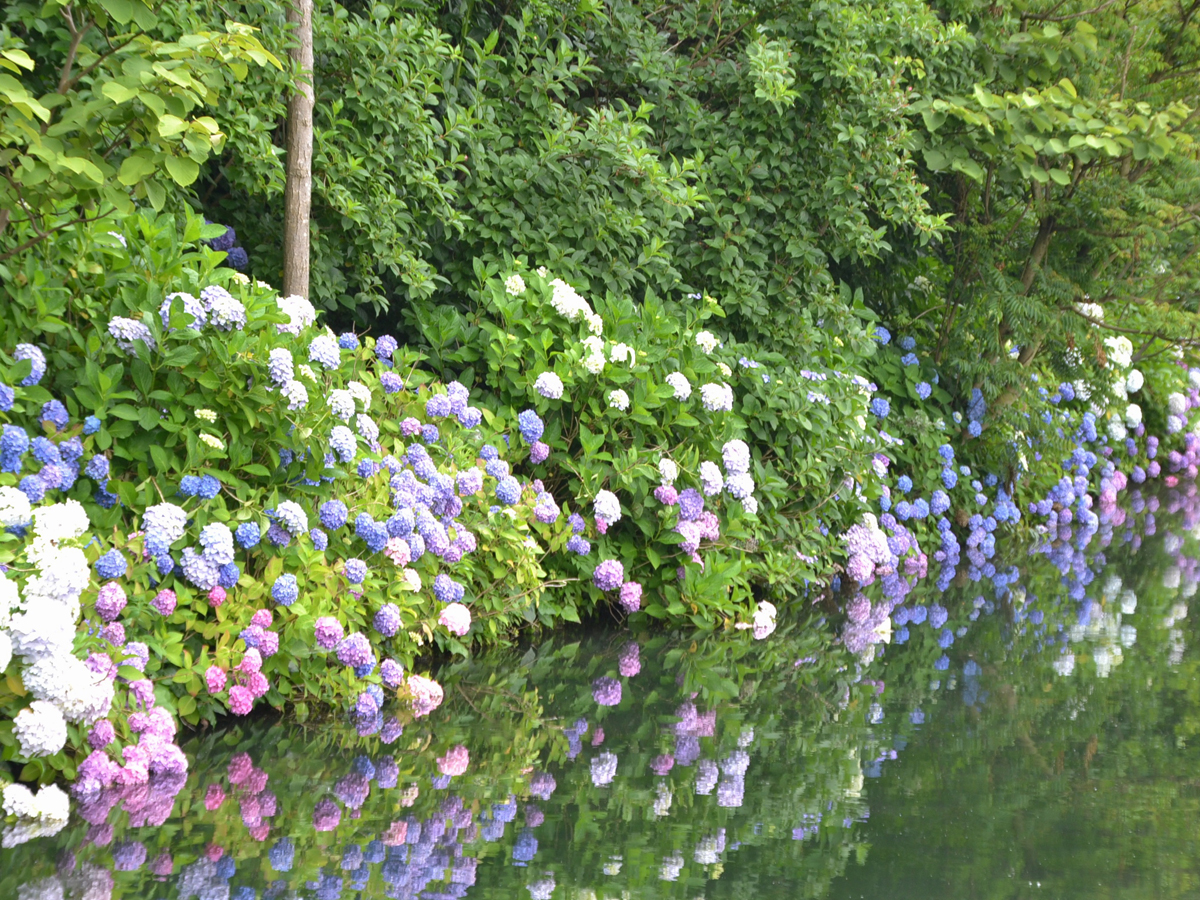 デンパーク ガーデナート