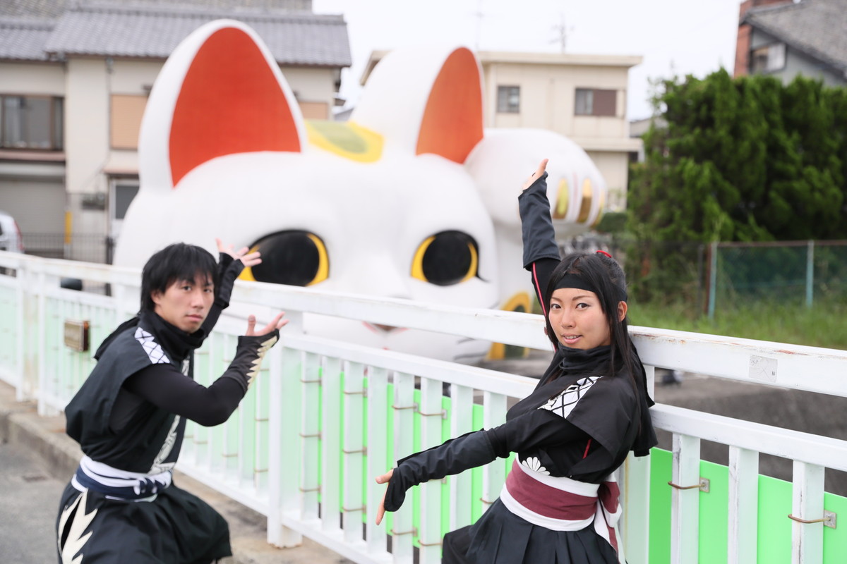 Guardian Cat "Tokonyan"