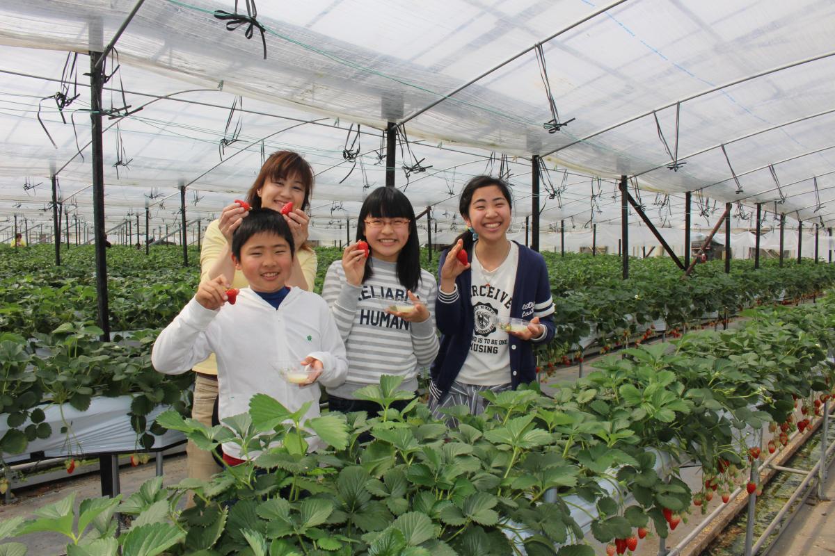 ฟาร์มสำหรับการท่องเที่ยว ฮานะ ฮิโรบะ