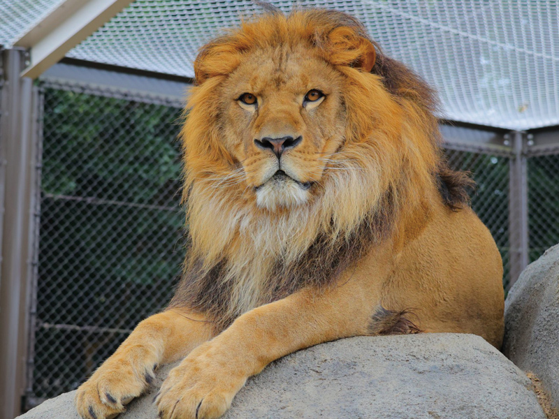 豊橋総合動植物公園（のんほいパーク）