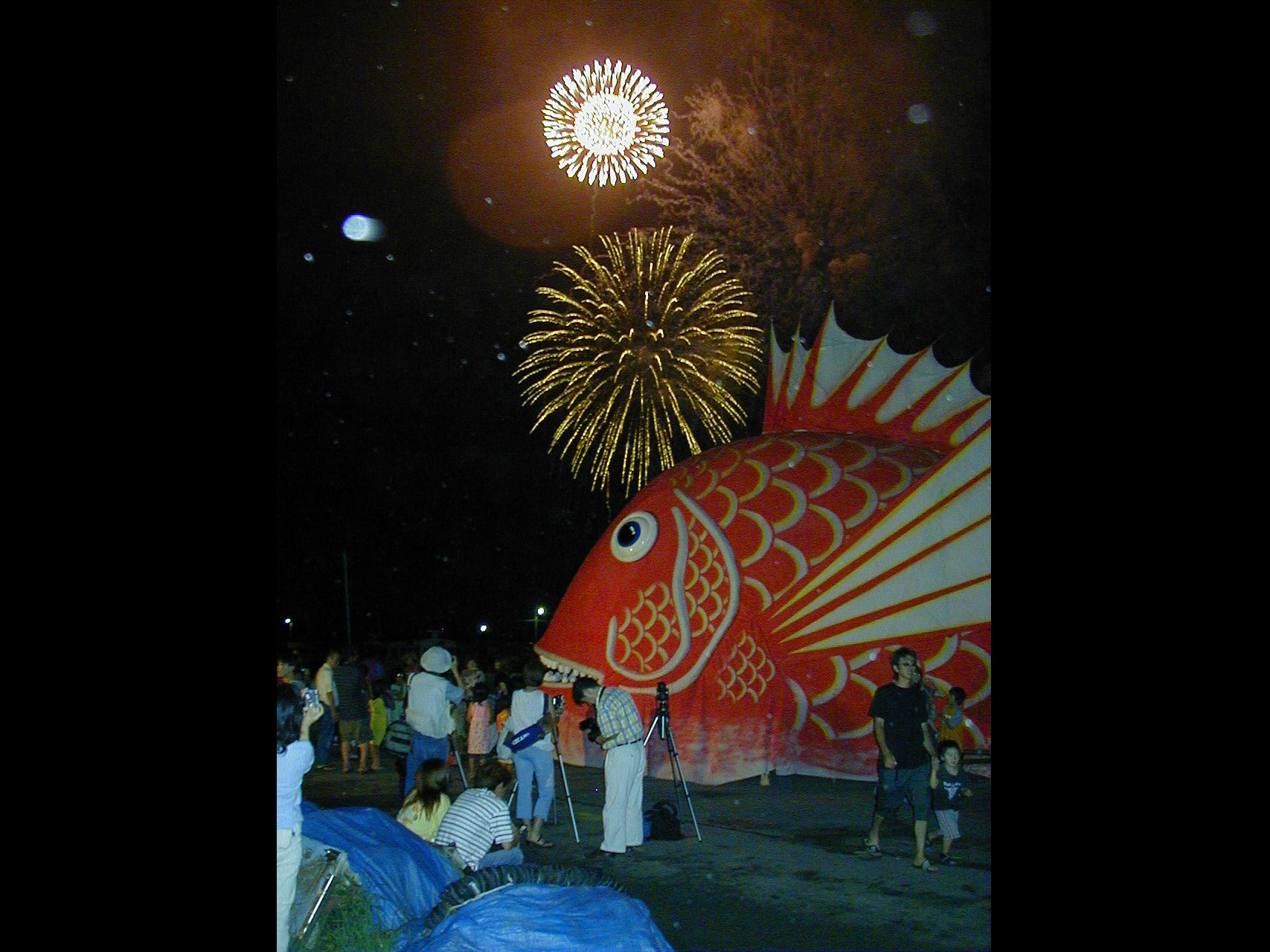 第31届 丰浜焰火大会