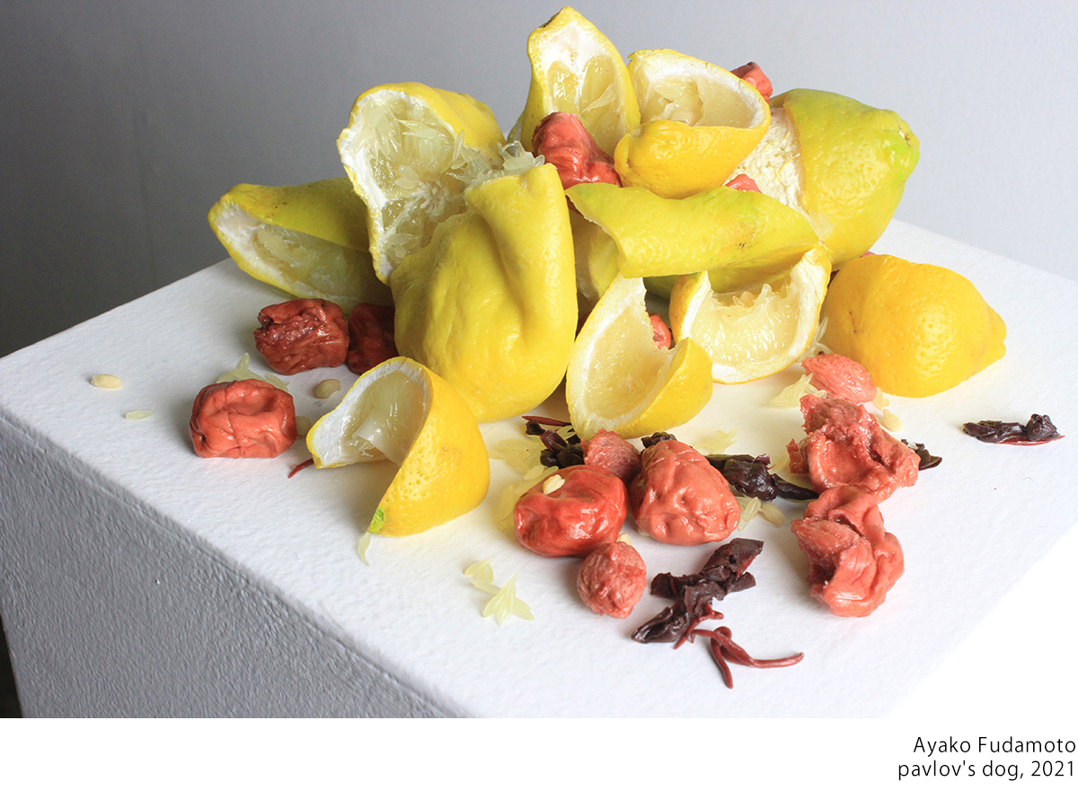 Aichi Triennale 2025