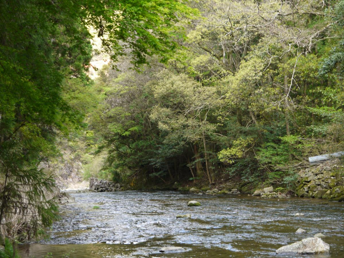 ひやひやランド