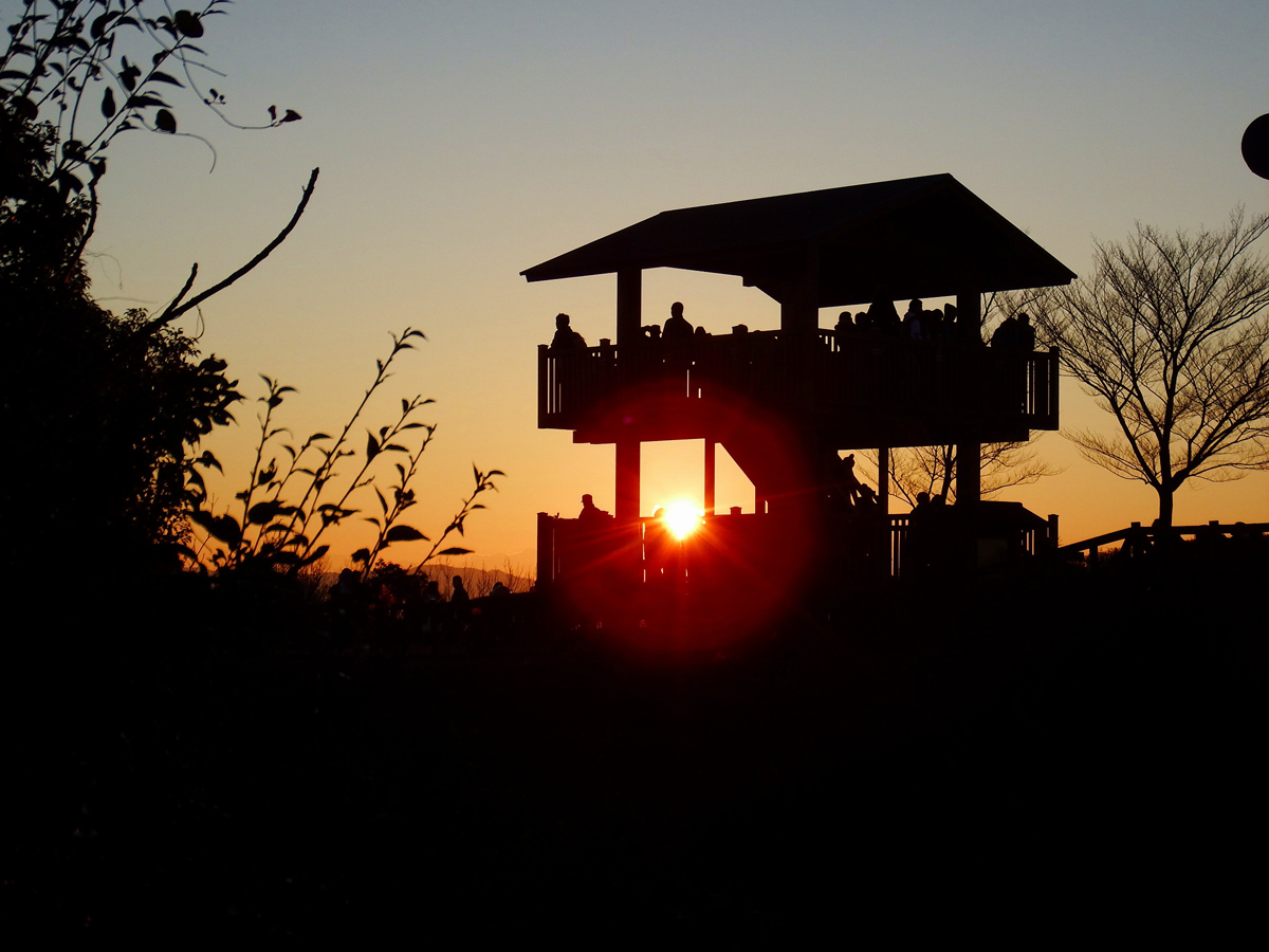 觀賞新年日出！（東三河故鄉公園）