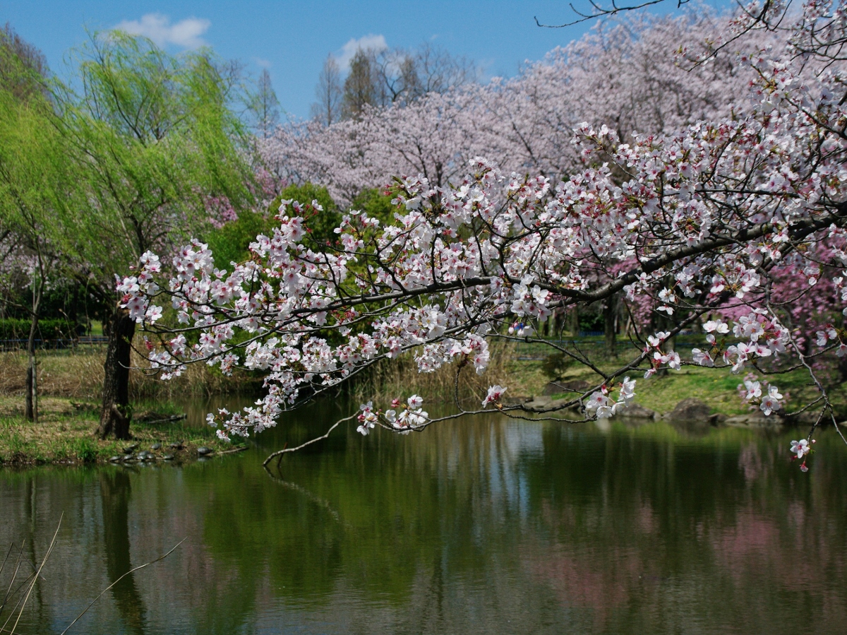 庄内緑地グリーンプラザ