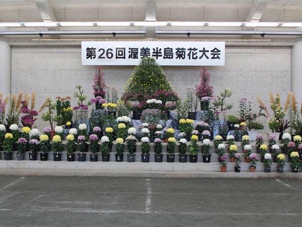 渥美半島菊花大会