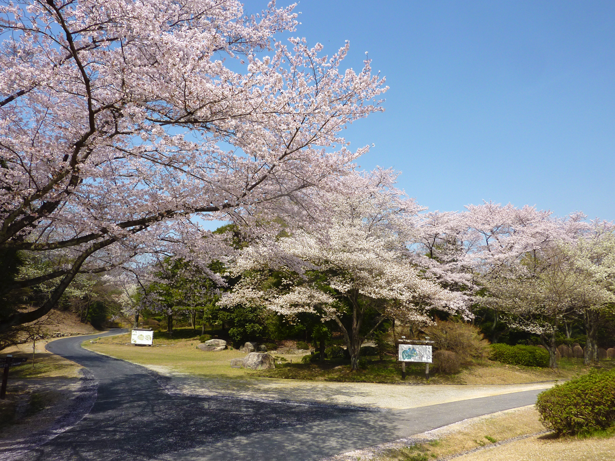 愛知県森林公園