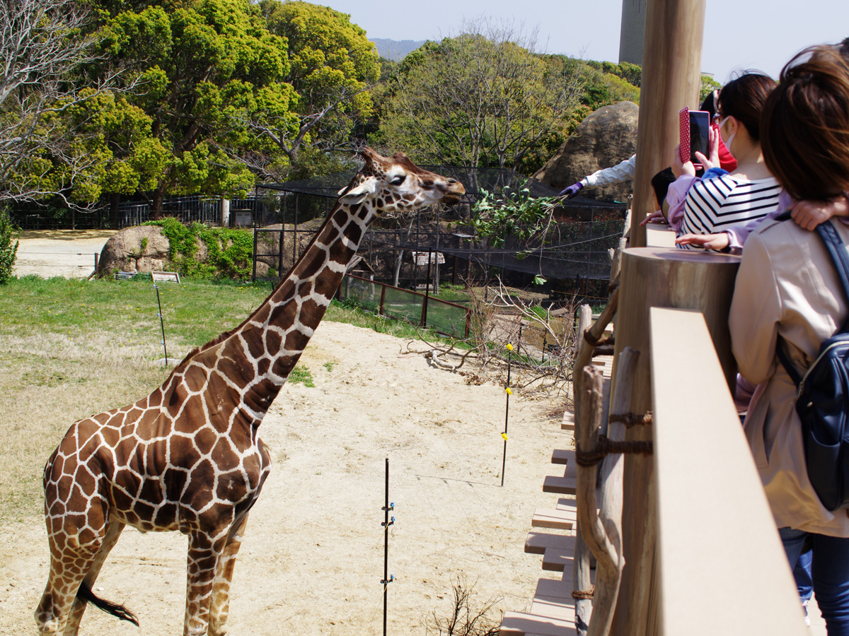 豊橋総合動植物公園（のんほいパーク）ゴールデンウィークイベント