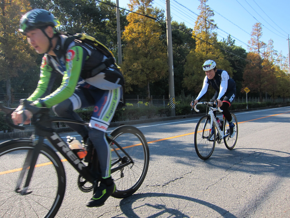 へきなん自転車散歩