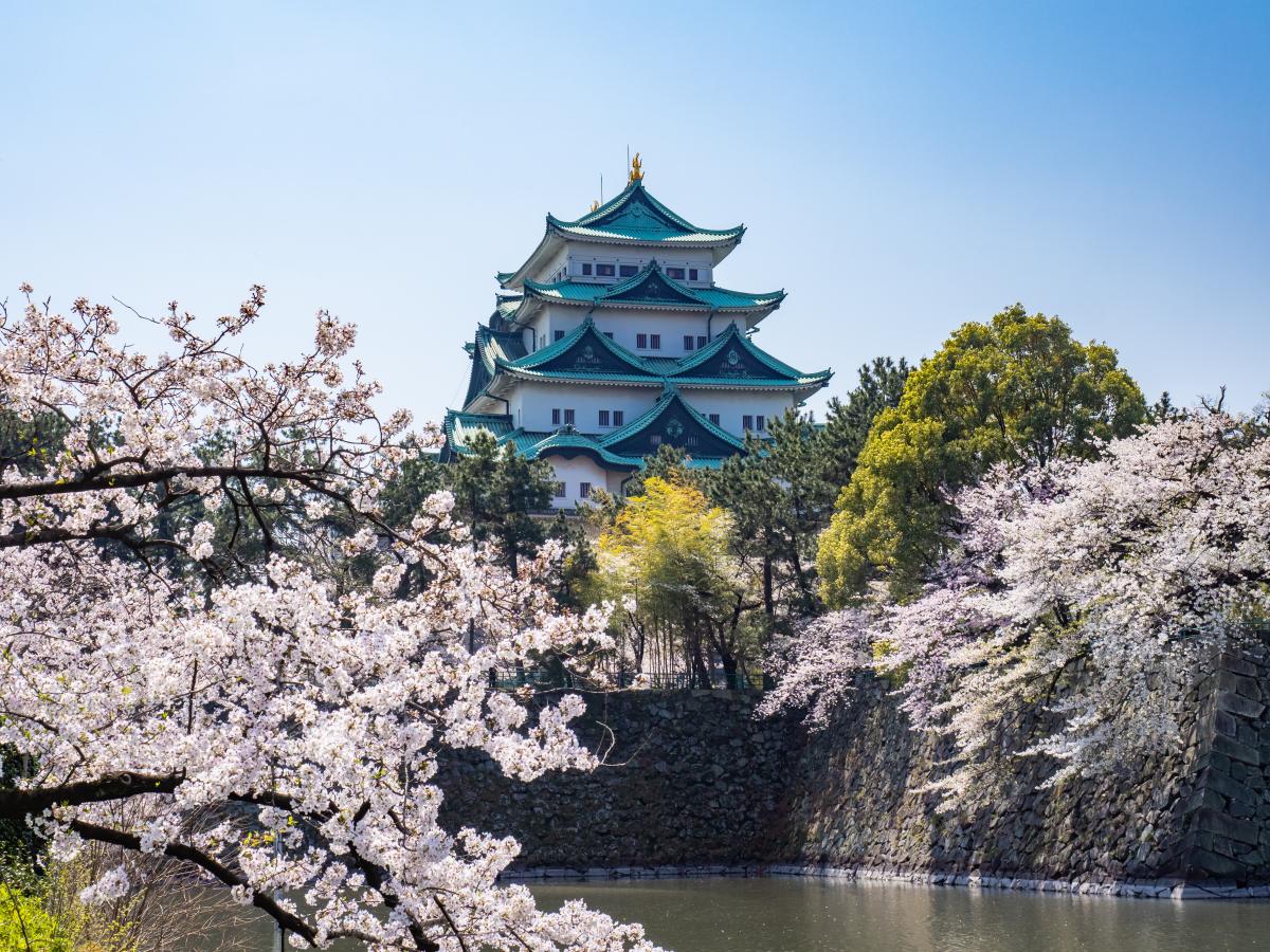 桜と名古屋城