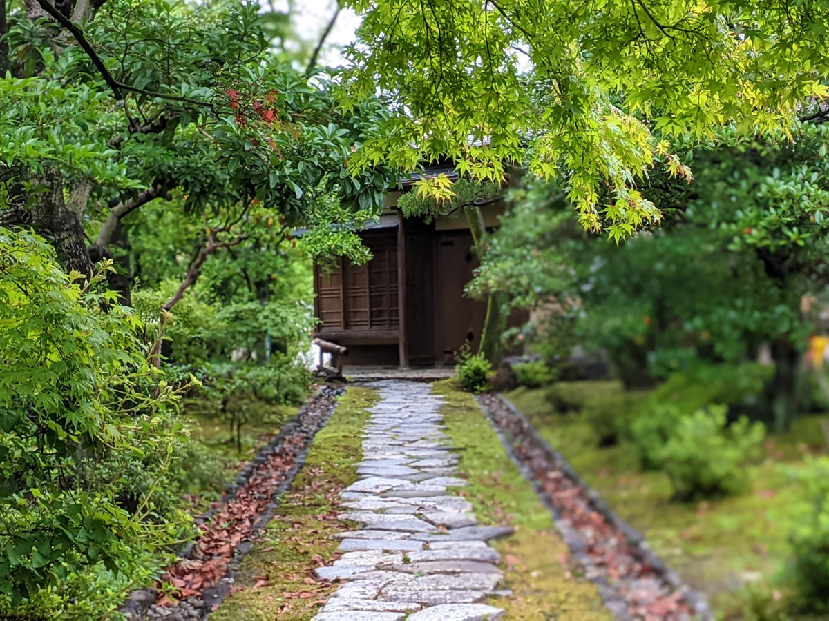 Urakuen Japanese Garden / National Treasure Joan Teahouse