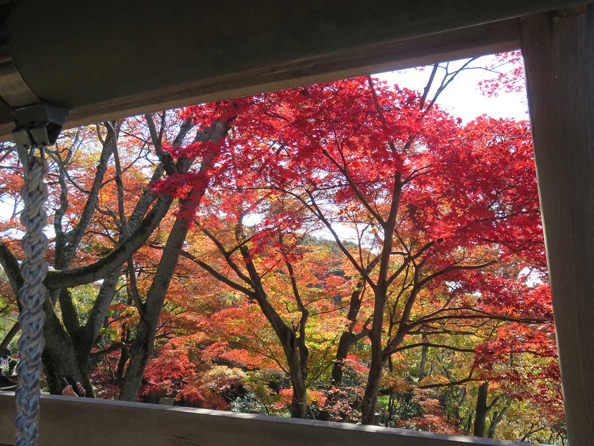 Jakkoin Temple Maple Festival