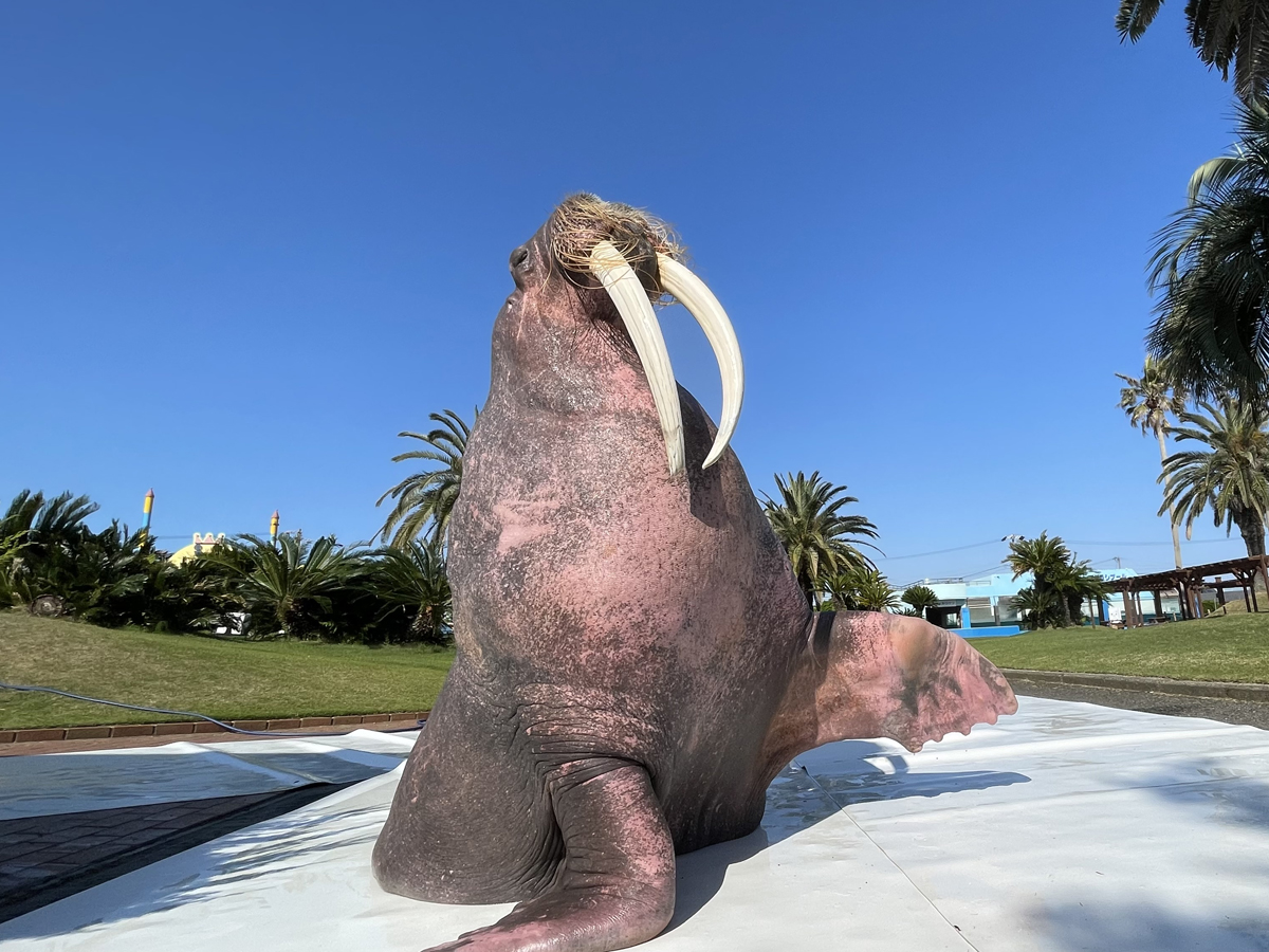 南知多ビーチランド45th　秋のイベント