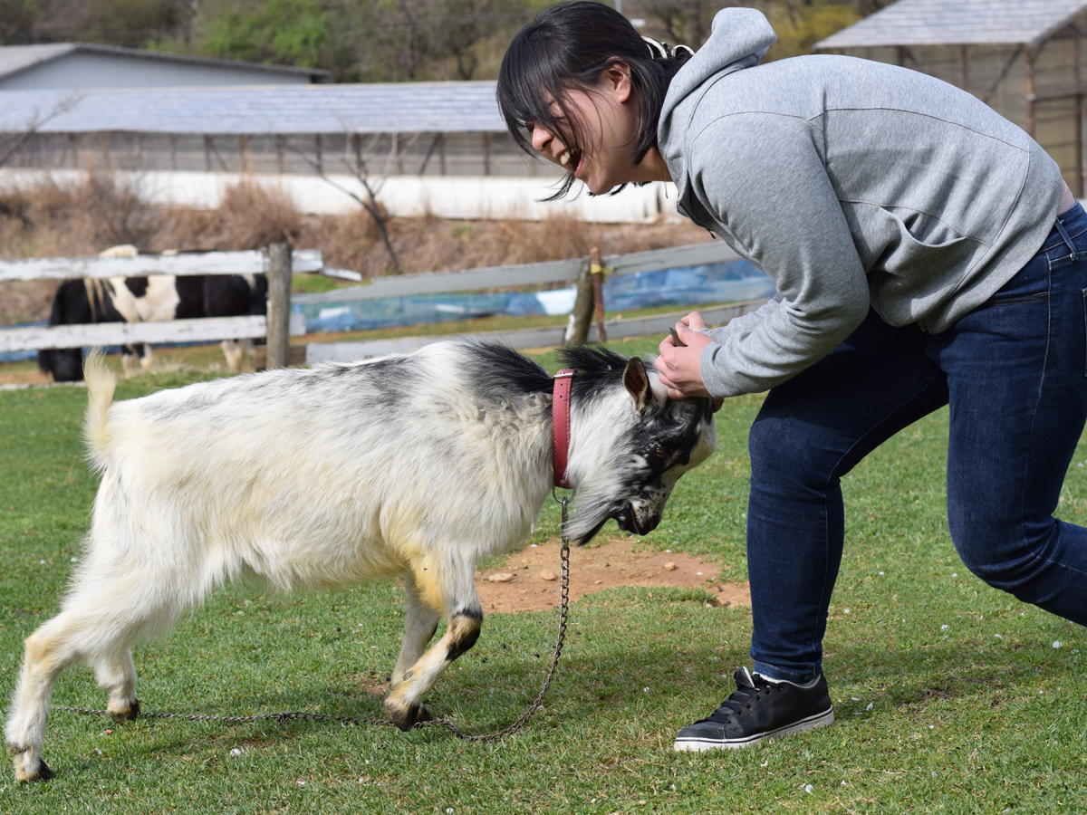 奥三河体験フォトコンテスト