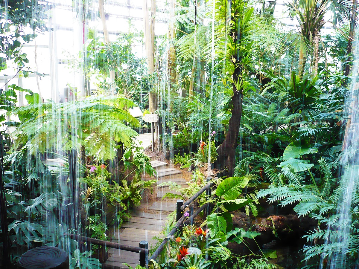 도요하시 종합 동식물 공원(논호이 파크)