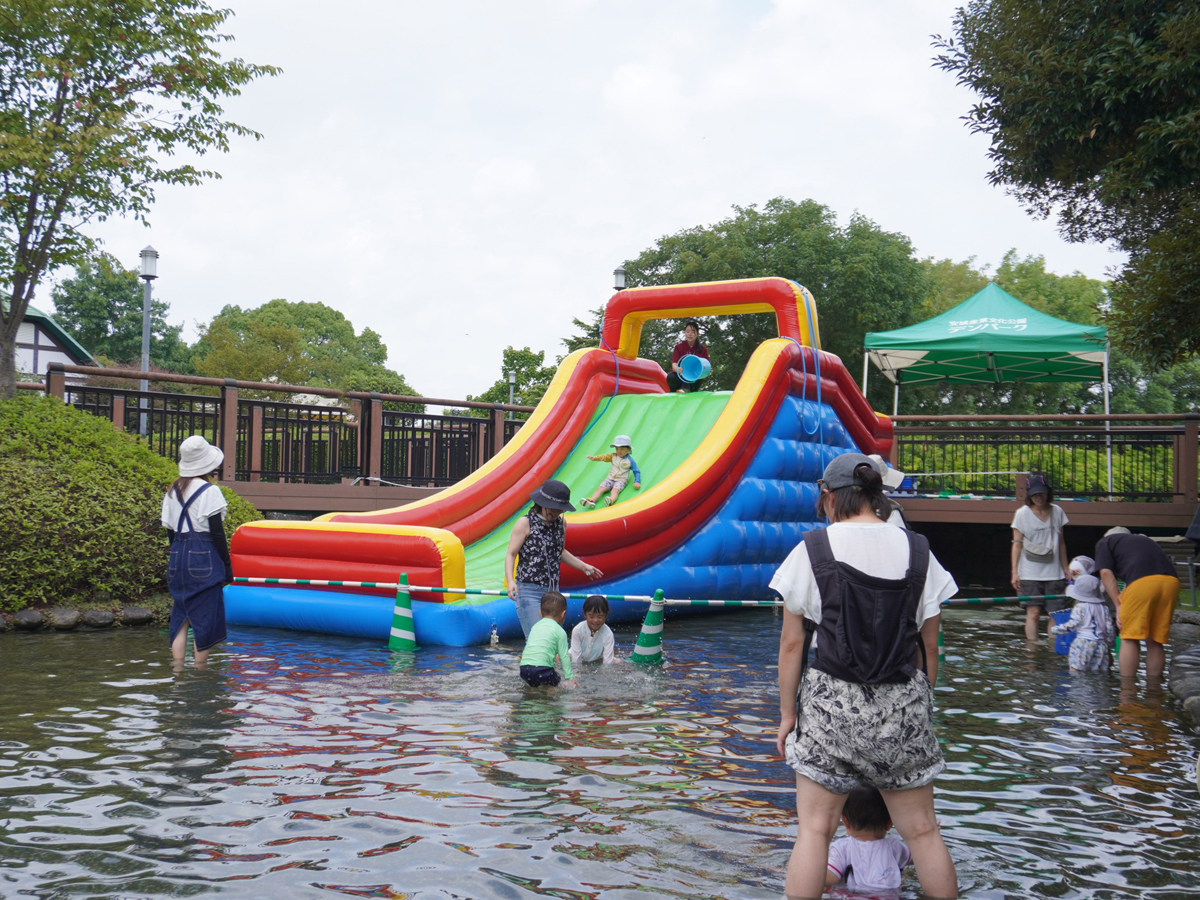 デンパーク,サマーフェスティバル