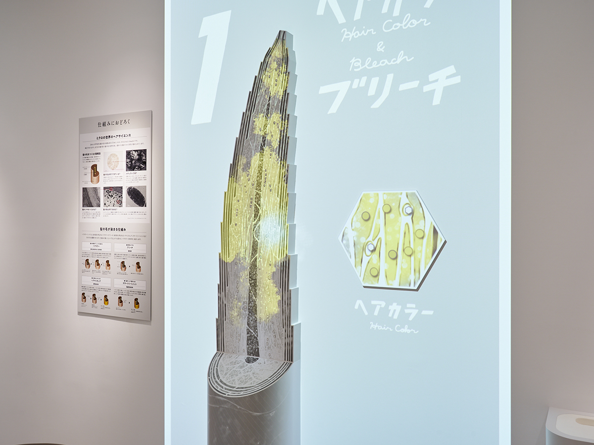 ホーユーヘアカラーミュージアム