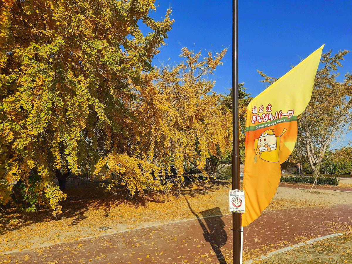 祖父江ぎんなんパーク