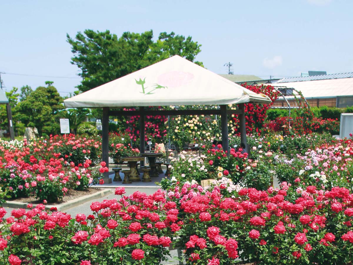 Nishio City Ikoi-no-Noen (Relax Farm)