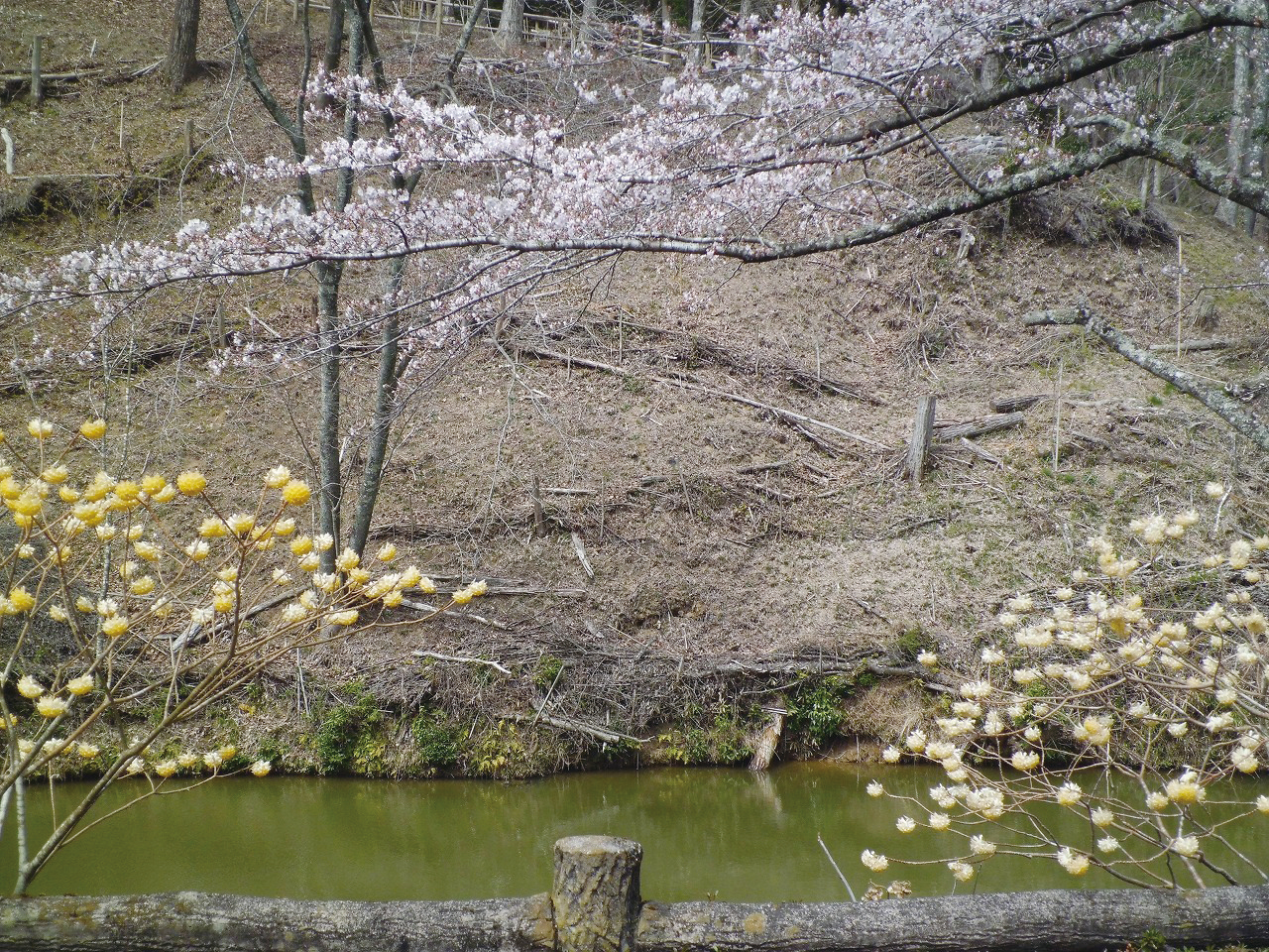 おばら四季の回廊