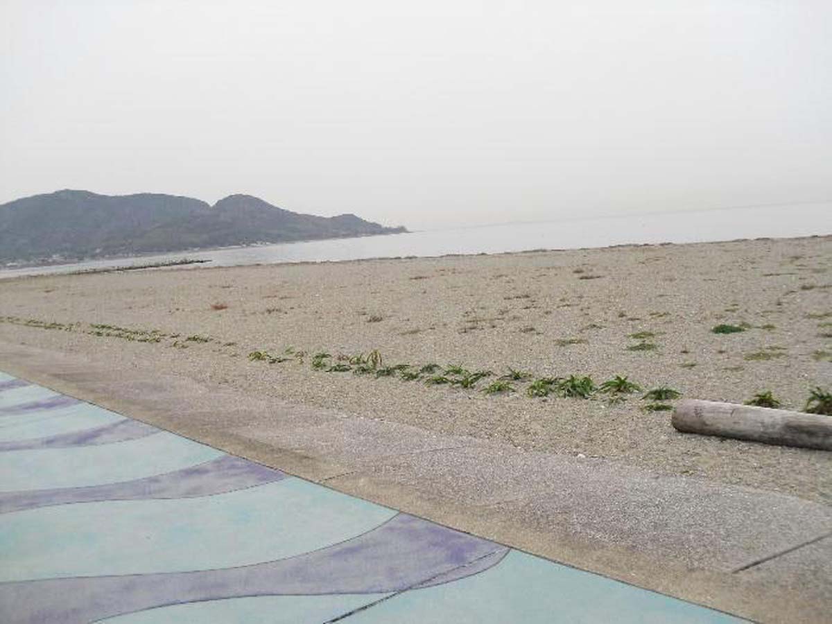 白谷海岸　潮干狩り