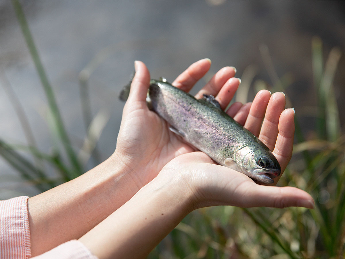 道の駅「つぐ高原グリーンパーク」