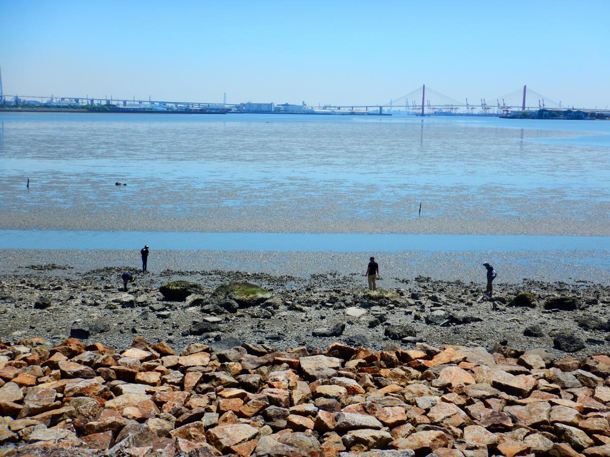 藤前干潟活動センター