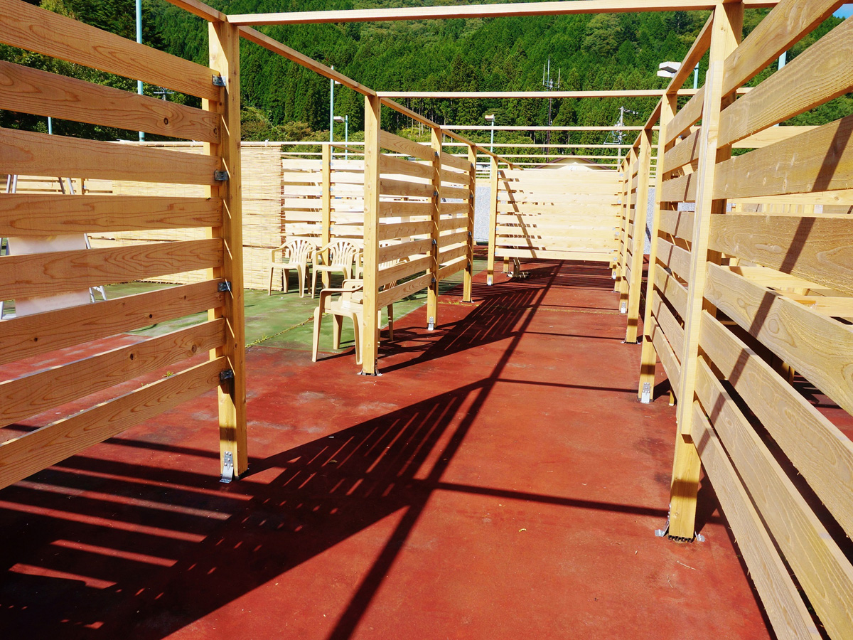 山菜狩りイベント