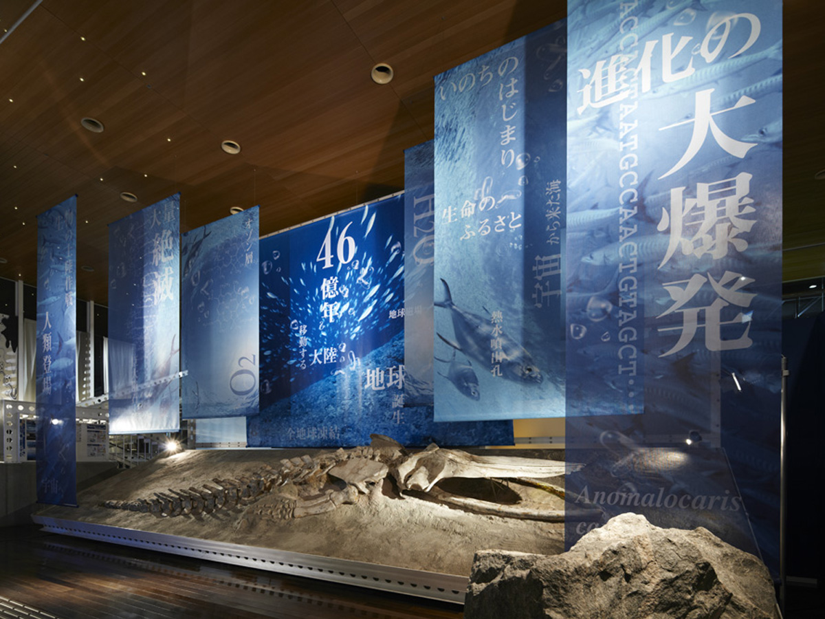 蒲郡市生命の海科学館