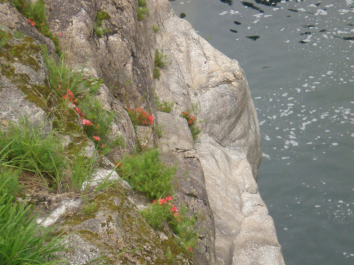 煮え渕　ポットホール