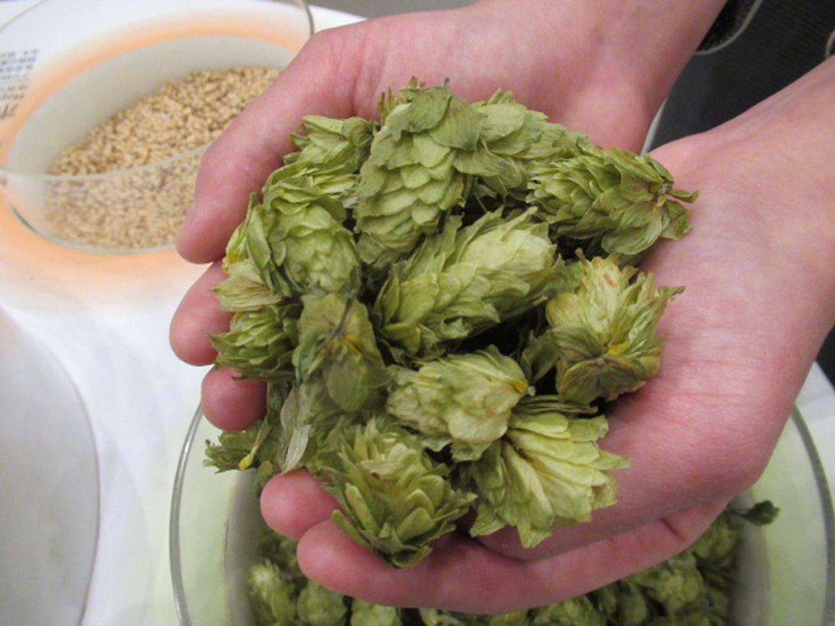 キリンビール 名古屋工場