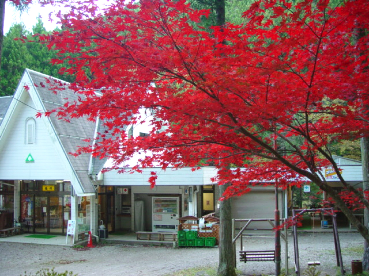 とよねランドオートキャンプ村