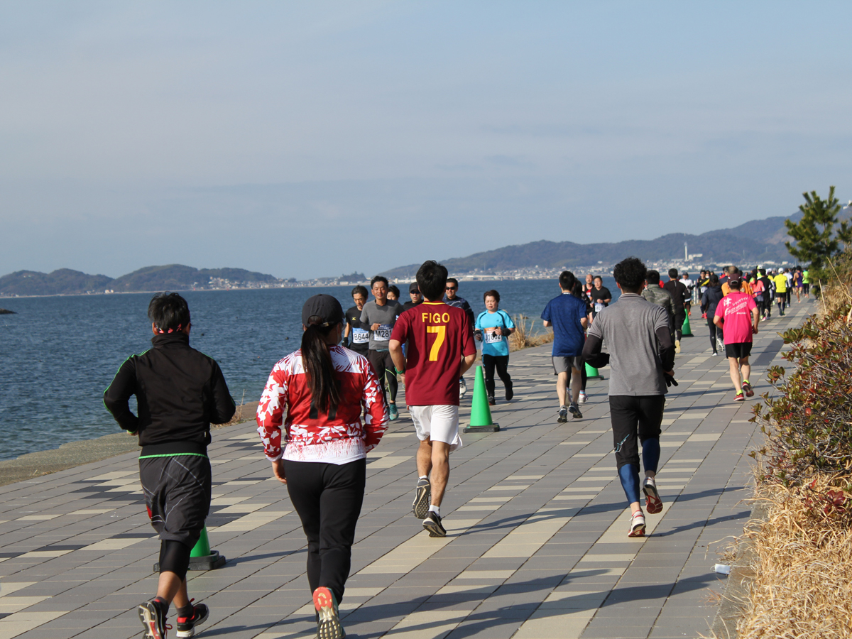 海・みなと・蒲郡マラソン
