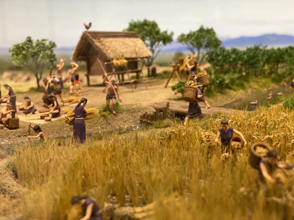 あいち朝日遺跡ミュージアム