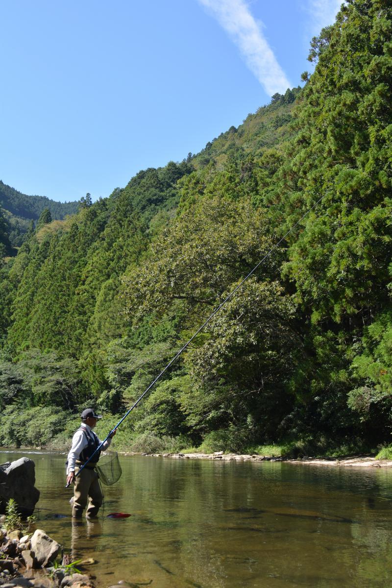 東栄町 日本一の鮎