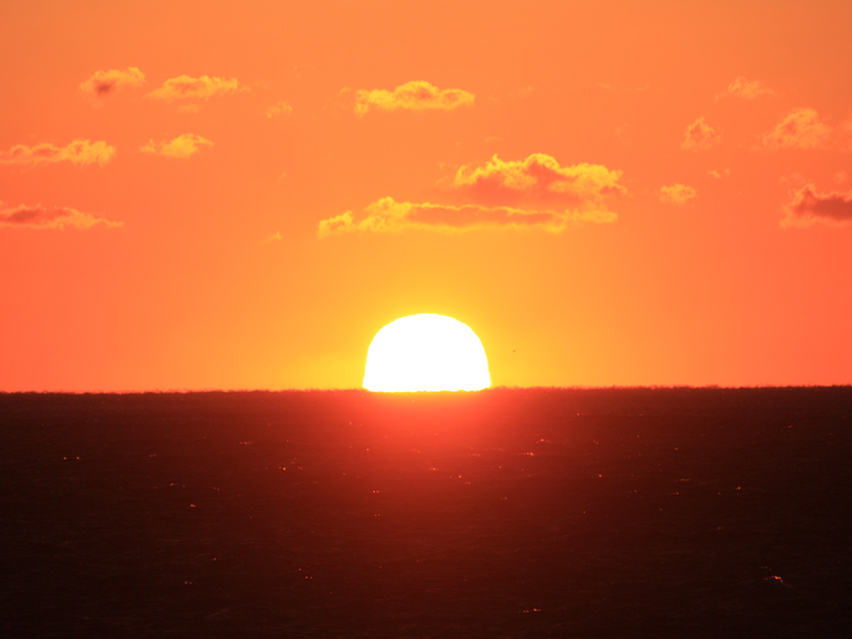 元日洋上初日の出クルーズ便