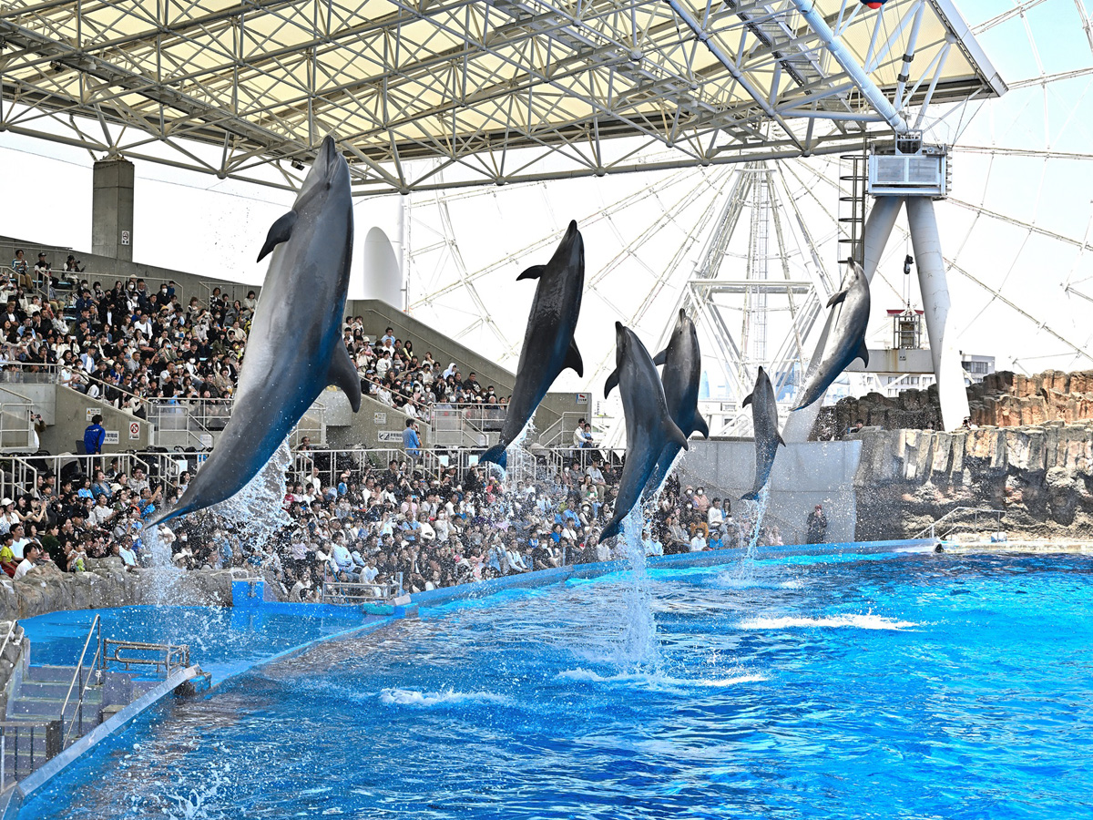 名古屋港水族館