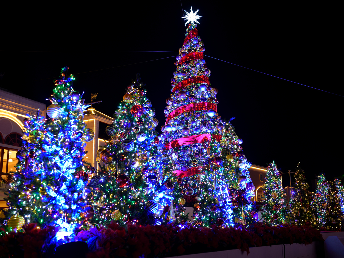 라구나 일루미네이션 '생명의 빛'