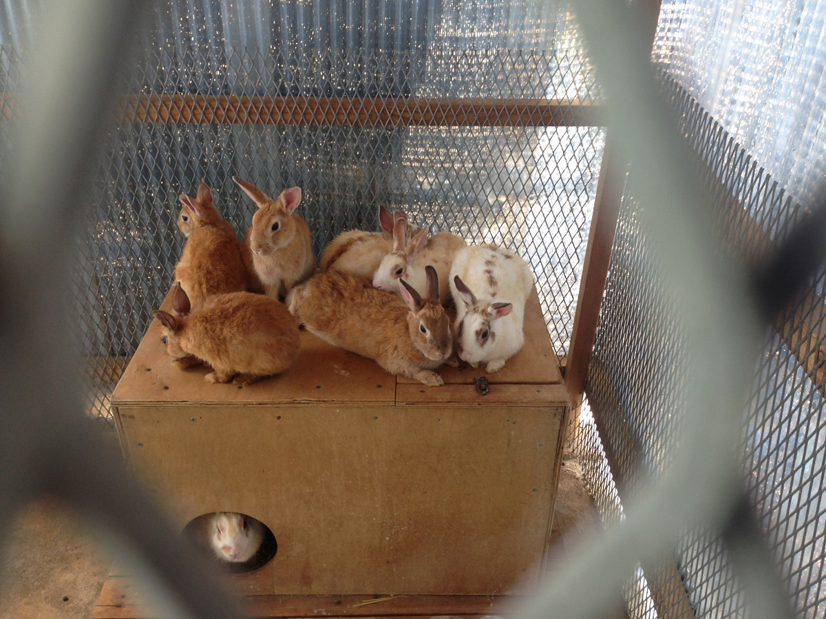 サンテパルクたはら