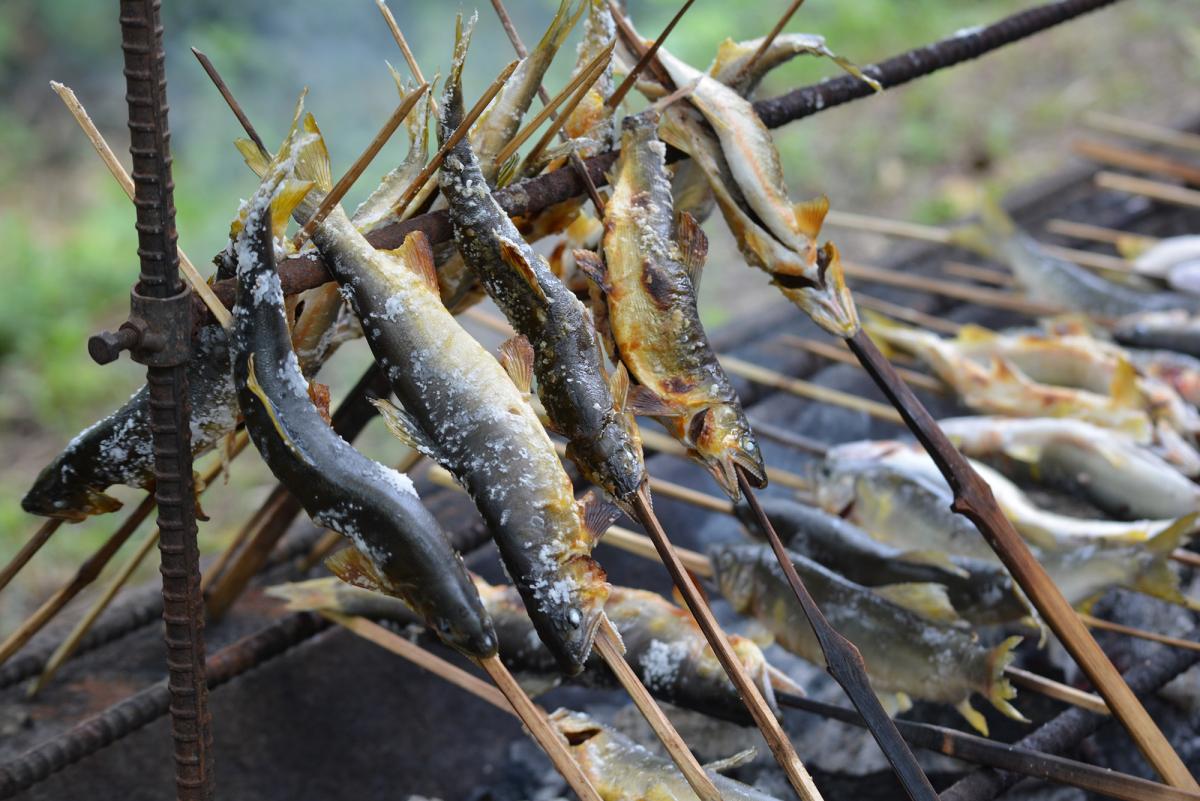 東栄町 日本一の鮎