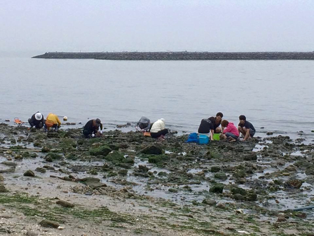 三谷温泉海岸　潮干狩り