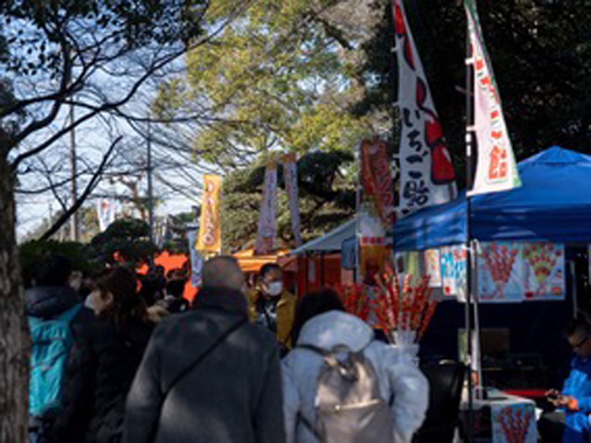 大坊の楽市 by 現代版灯台守