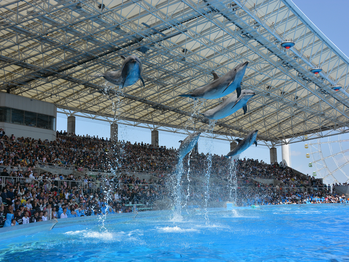 名古屋港水族館
