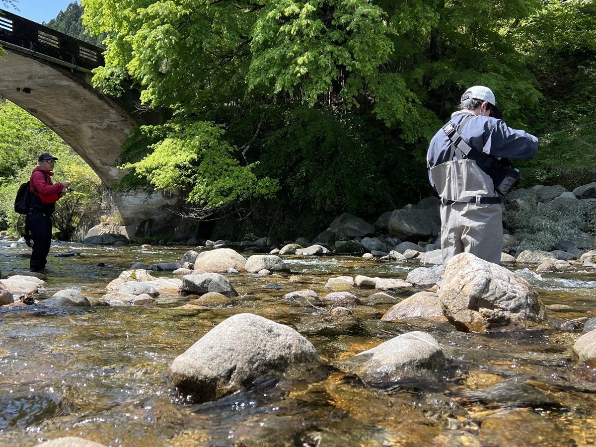 愛知のてっぺん大入川 あまご釣り