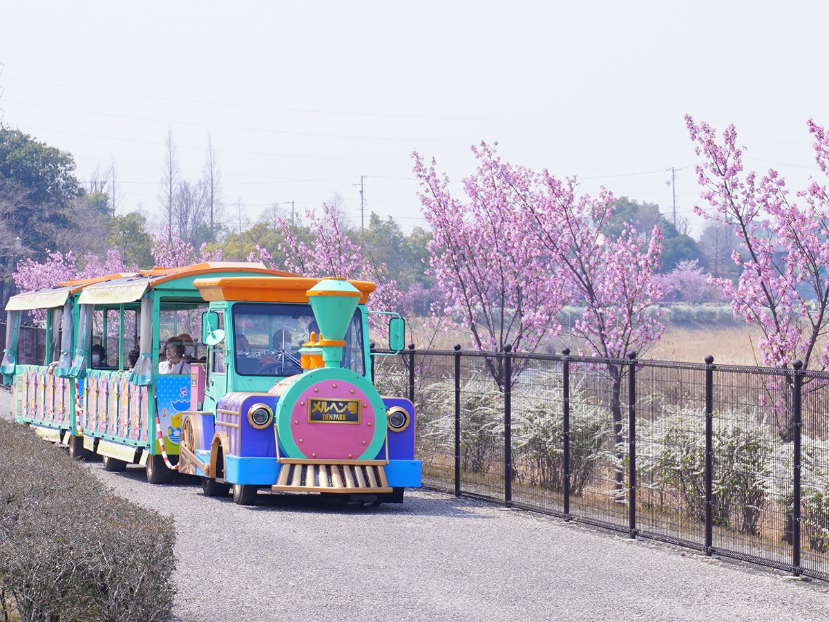 デンパーク フラワーフェスティバル