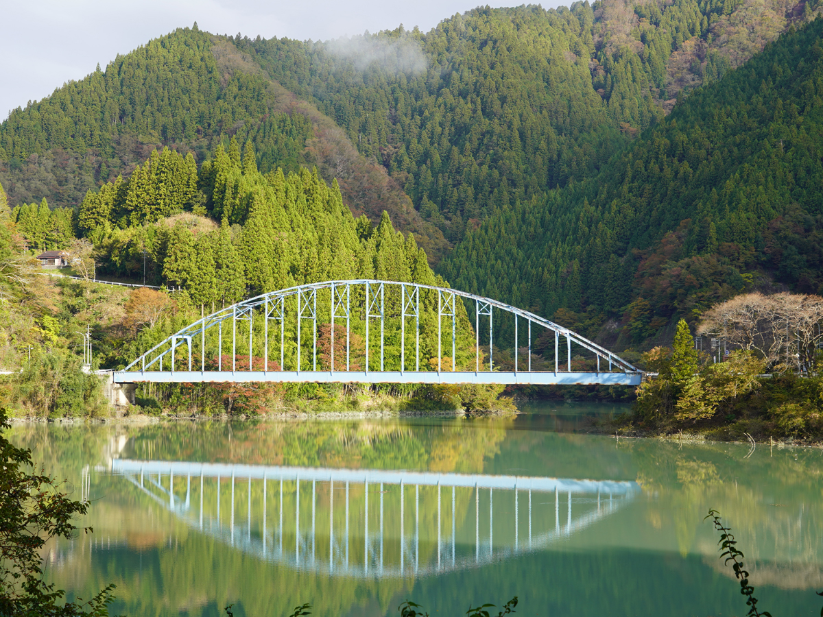 とよね・みどり湖ハーフマラソン