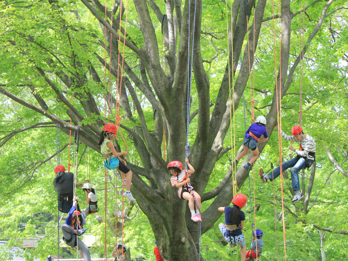 オータムフェスタ