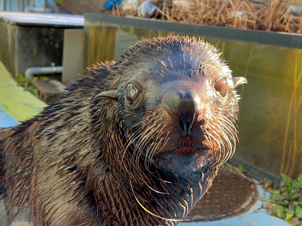 다케시마 수족관