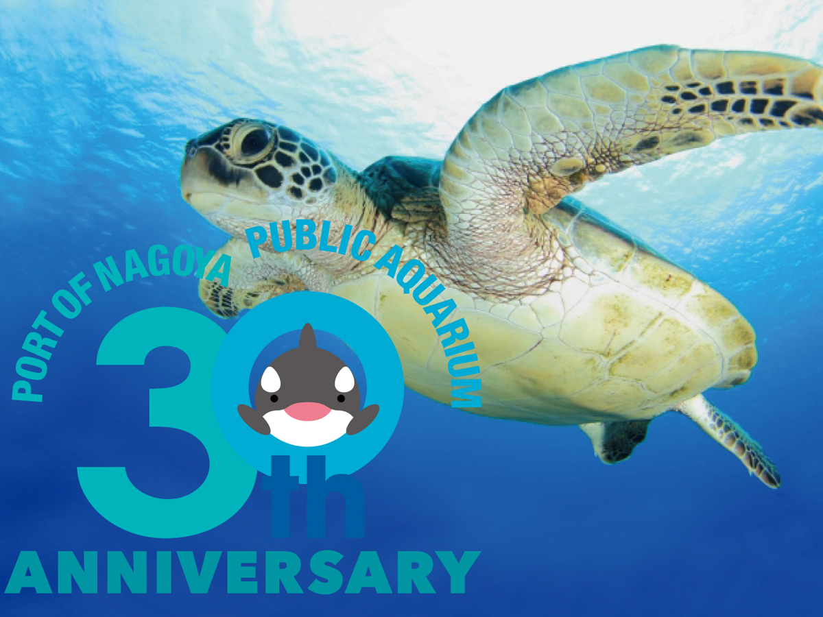 金山エンタメアートフェス